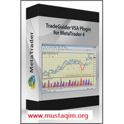 TradeGuider MT4 VSA Plugin Tradeguider 4.1.16.0 EOD RT Manual
